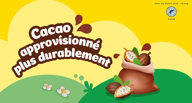 Nesquik Lattee Cocoa Powder Drink Chocolate Flavor Breakfast Bag 1 kg - Cacao durable