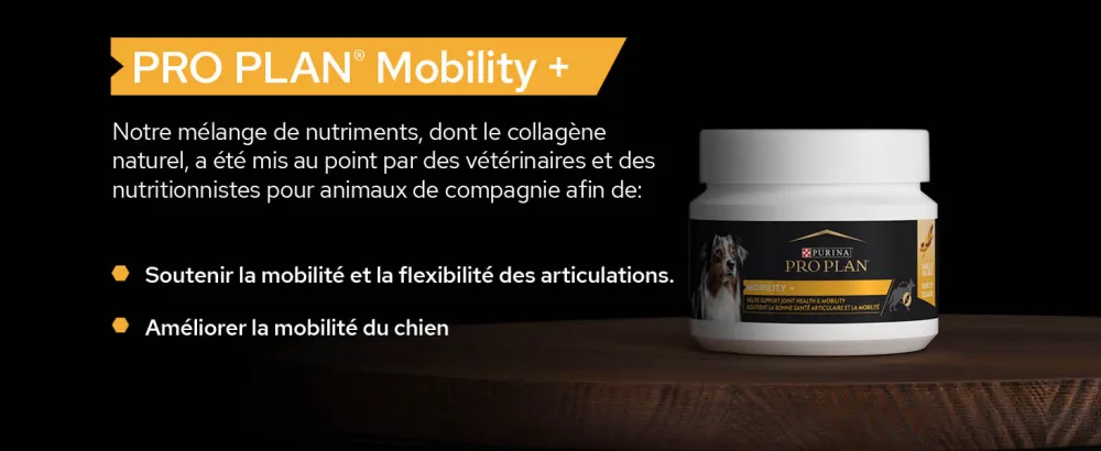PURINA PRO PLAN | Mobility+ | Powder | Complementary food | Dog | 60g box - supplements; gamme d