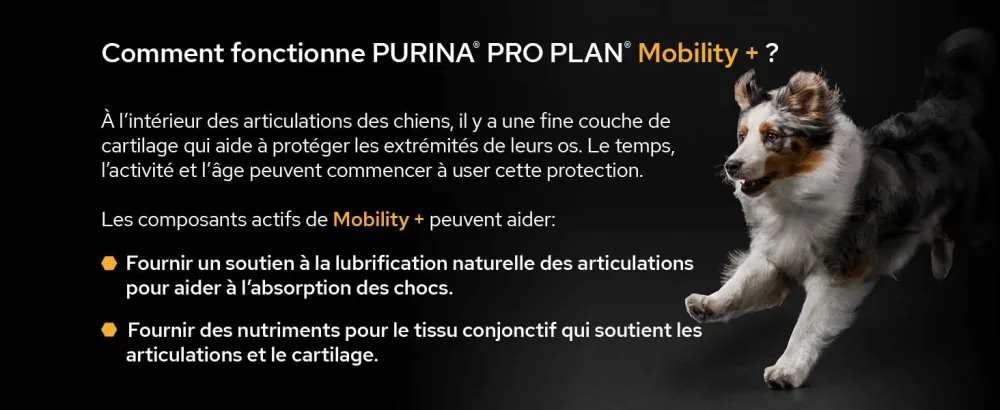 PURINA PRO PLAN | Mobility+ | Powder | Complementary food | Dog | 60g box - supplements; gamme d