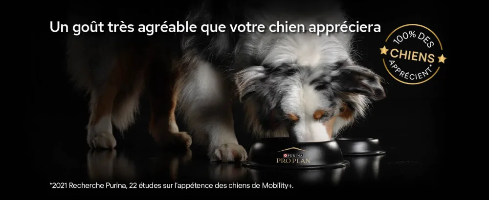 PURINA PRO PLAN | Mobility+ | Powder | Complementary food | Dog | 60g box - supplements; gamme d
