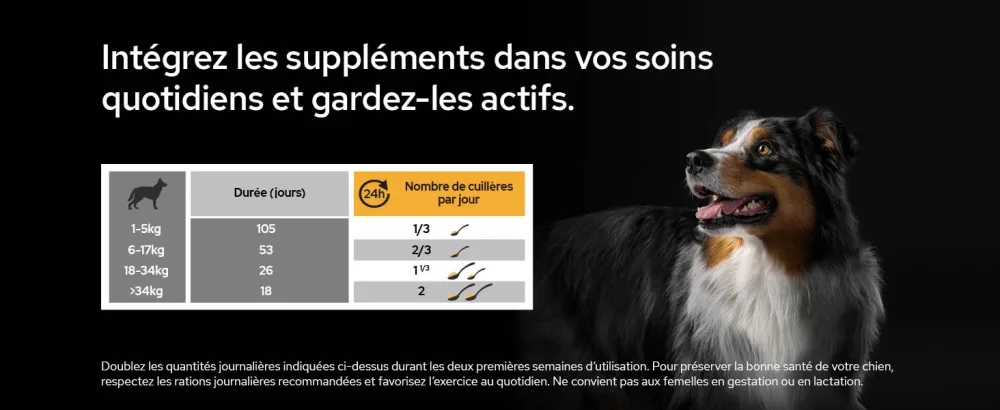 PURINA PRO PLAN | Mobility+ | Powder | Complementary food | Dog | 120g box - supplements; gamme d