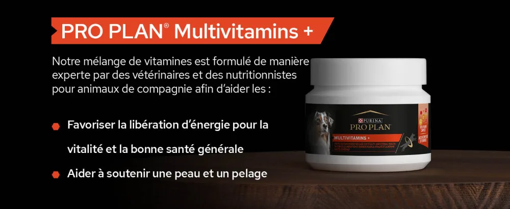 PURINA PRO PLAN | Multivitamins+ | Complementary food tablets | Dog | 135g box - supplements; gamme d