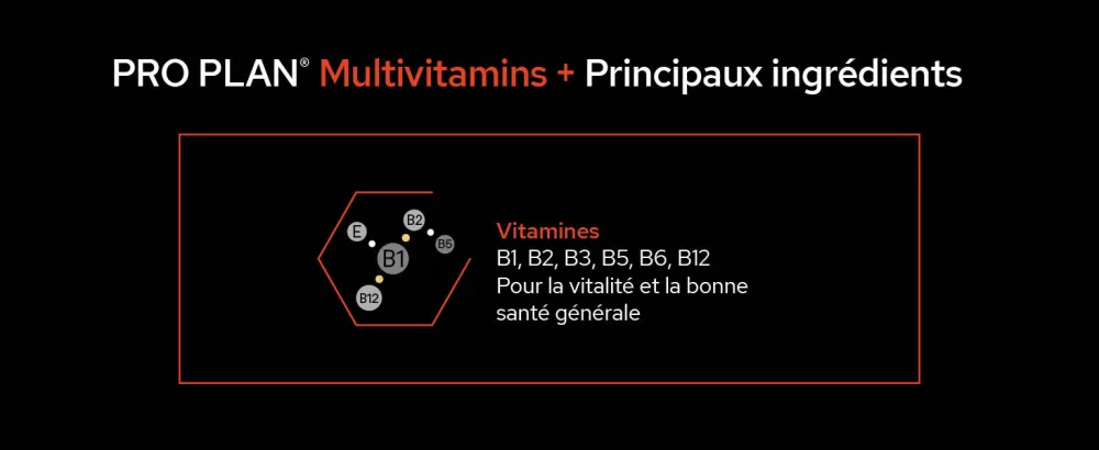 PURINA PRO PLAN | Multivitamins+ | Complementary food tablets | Dog | 135g box - supplements; gamme d
