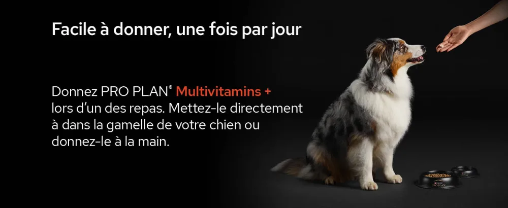 PURINA PRO PLAN | Multivitamins+ | Complementary food tablets | Dog | 135g box - supplements; gamme d