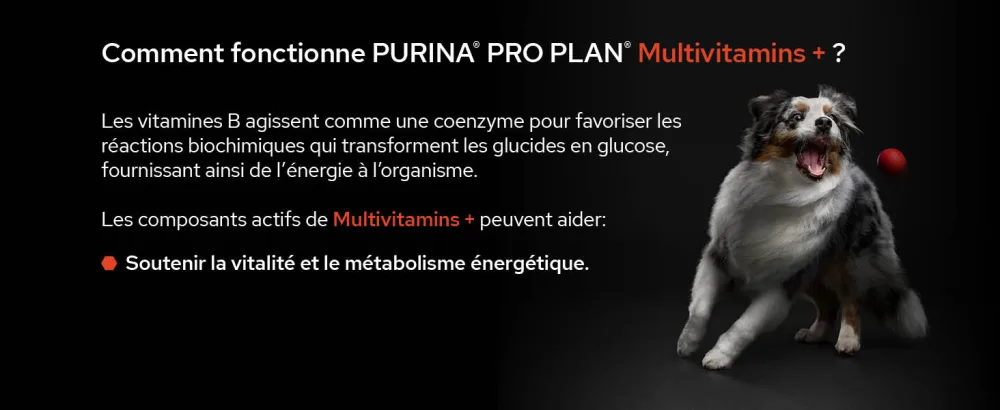 PURINA PRO PLAN | Multivitamins+ | Complementary Food Tablets | Dog | 67g Box - supplements; gamme d