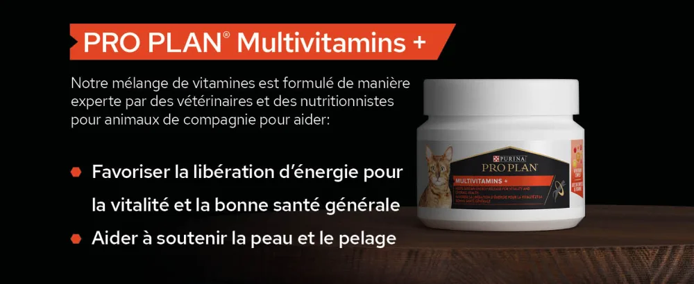PURINA PRO PLAN | Multivitamins+ | Powder | Complementary food | Cat | 60g box - supplements; gamme d
