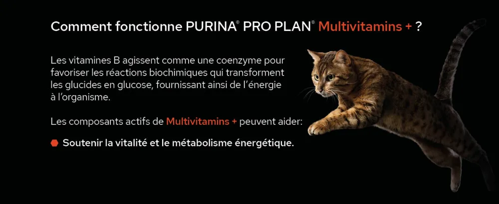 PURINA PRO PLAN | Multivitamins+ | Powder | Complementary food | Cat | 60g box - supplements; gamme d