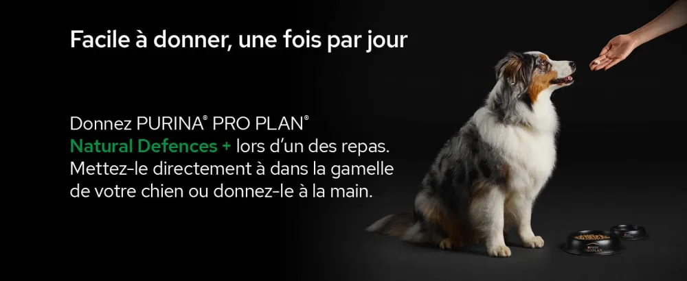 PURINA PRO PLAN | Natural Defences+ | Complementary Food Tablets | Dog | 67g Box - supplements; gamme d