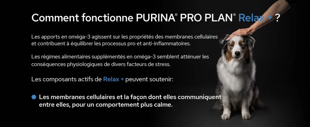 PURINA PRO PLAN | Relax+ | Complementary food | Dog | 500ml bottle - supplements; gamme d