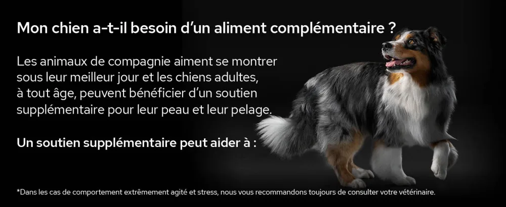 PURINA PRO PLAN | Relax+ | Complementary food | Dog | 250ml bottle - supplements; gamme d