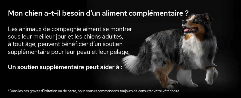 PURINA PRO PLAN | Skin & Coat+ | Complementary food | Dog | 250ml bottle - supplements; gamme d