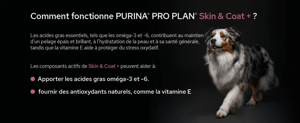 PURINA PRO PLAN | Skin & Coat+ | Complementary food | Dog | 250ml bottle - supplements; gamme d