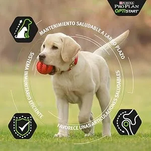 Pro Plan Large Robust Puppy Chkn 4x3kgXE - product information 5