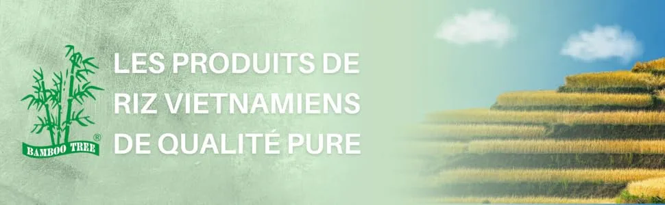 BAMBOO TREE - Rice noodles 3Mm. - 1 X 200 GR - Les nouilles de riz de Bamboo Tree