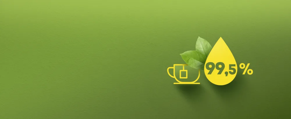 Lipton Green Tea Green Tea from Asia Cold or Hot Infusion Mint Taste Freshness 100% Natural Origin Ingredients 30 sachets - Hydratation thé vert