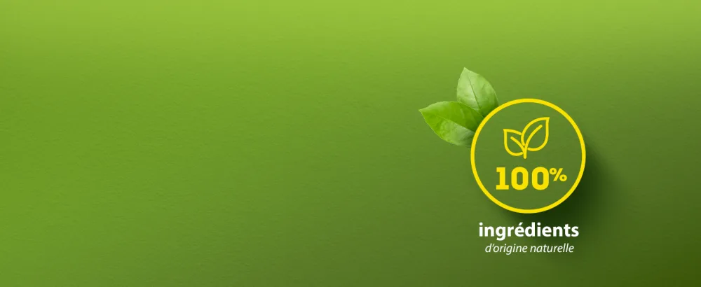 Lipton Green Tea Green Tea from Asia Cold or Hot Infusion Mint Taste Freshness 100% Natural Origin Ingredients 30 sachets - ingrédients