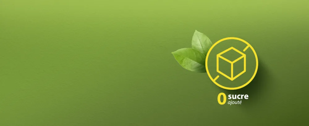 Lipton Green Tea Green Tea from Asia Cold or Hot Infusion Mint Taste Freshness 100% Natural Origin Ingredients 30 sachets - SANS SUCRE