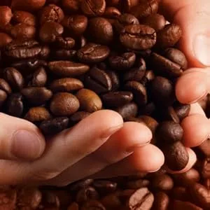 Jacques Vabre Professional 1Kg of Authentic Rainforest Certified Coffee Beans Intensity 6 100% Arabica - Jacques Vabre