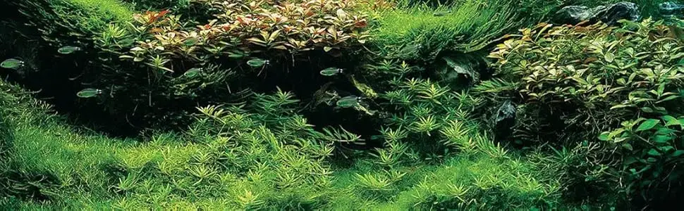 BEGONDIS Aquarium Decorations 3Pcs Fish Tank Artificial Green Water Plants Made of Silk Fabrics Plastic 11" * 3 Pcs, Green - product information 2