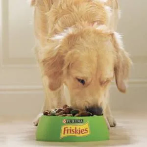 FRISKIES Dog Food Mini Menu Chicken Vegetables 1.5KG - Chien