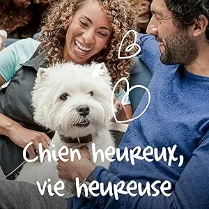 Cesar Chicken Terrine Trays for Dogs 300 g - cesar