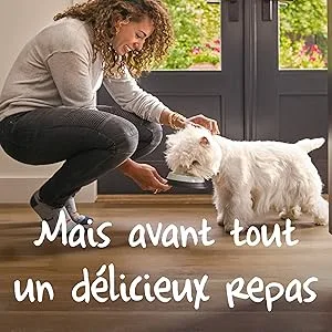 Cesar Chicken Terrine Trays for Dogs 300 g - cesar