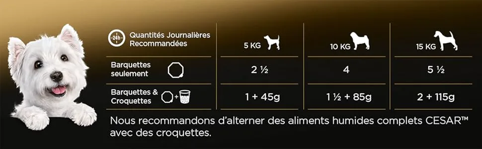 Cesar Chicken Terrine Trays for Dogs 300 g - cesar