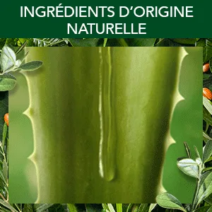 Herbal Essences Argan Oil Repair Mask 450ml - product information 2