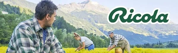 Ricola - Sweets with Swiss Plants - Apple Mint - Refreshing - Sugar Free - Box of 50g - product information 1