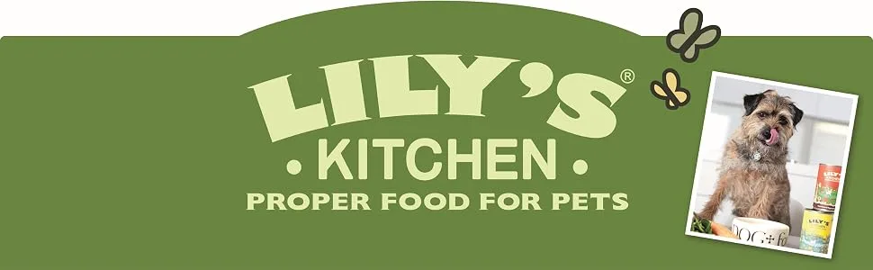 Lily's Kitchen Fishy Fish Pie for Dogs (6 x 400g) - Lily