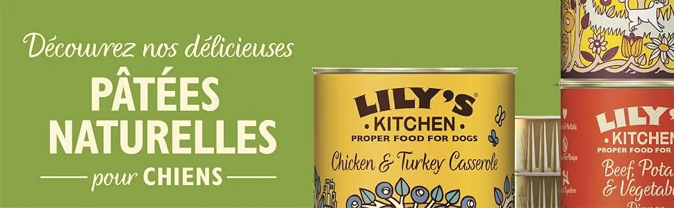 Lily's Kitchen Fishy Fish Pie for Dogs (6 x 400g) - patees naturelles