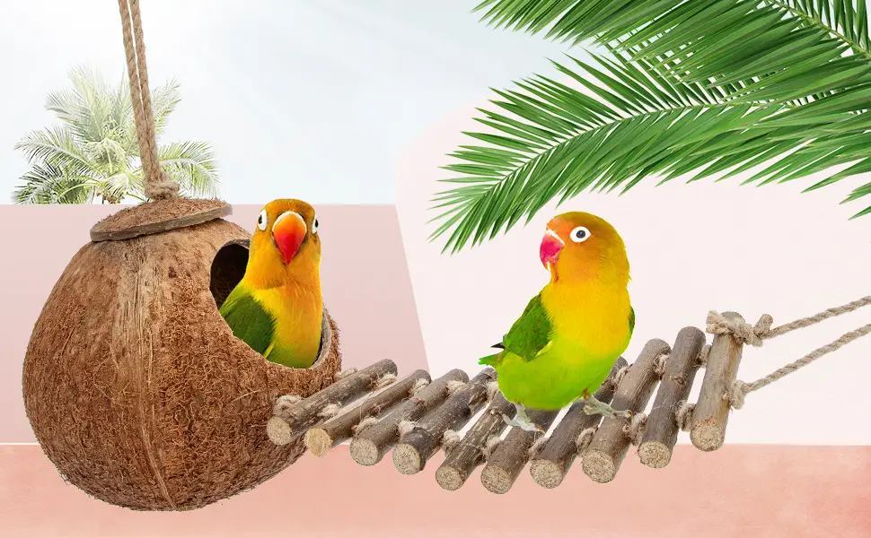Niteangel 100% Natural Coconut Hideaway with Ladder, Bird and Small Animal Toy House with Ladder Smooth Surface - product information 2