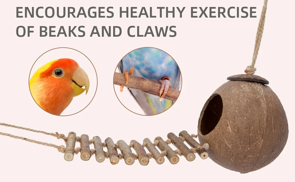 Niteangel 100% Natural Coconut Hideaway with Ladder, Bird and Small Animal Toy House with Ladder Smooth Surface - product information 6