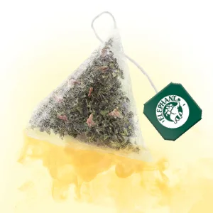 Elephant Infusion Apple Cinnamon and Fig Rainforest Alliance Certified 100% Natural Origin Ingredients 20 Pyramid Bag - Elephant