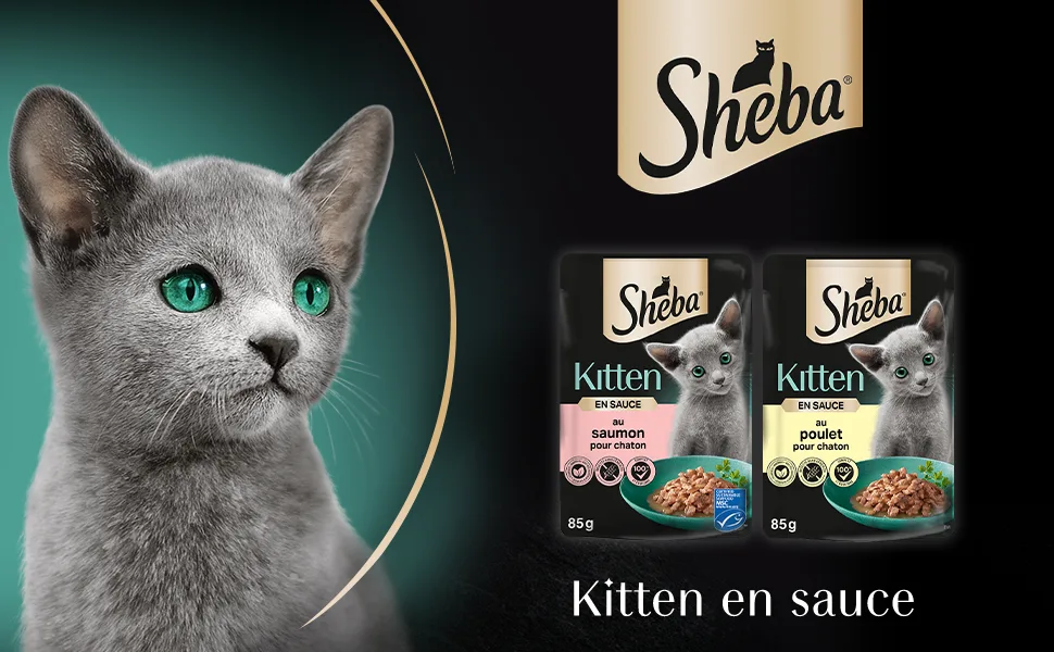 SHEBA Kitten Mixed Selection in Sauce Freshness Pouches for Kitten 2 Varieties 48x85g - product information 1