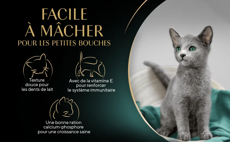 SHEBA Kitten Mixed Selection in Sauce Freshness Pouches for Kitten 2 Varieties 48x85g - product information 3