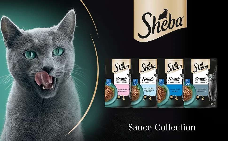 Sheba Sauce Collection Fresh Sachets Wet Food Fish Selection for Adult Cat 4 Varieties 40x85g - product information 1