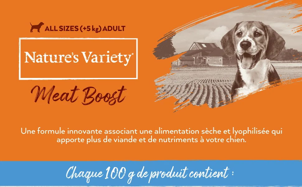 Nature's Variety - True Instinct Raw Boost - with Fresh Salmon - 10kg - nature