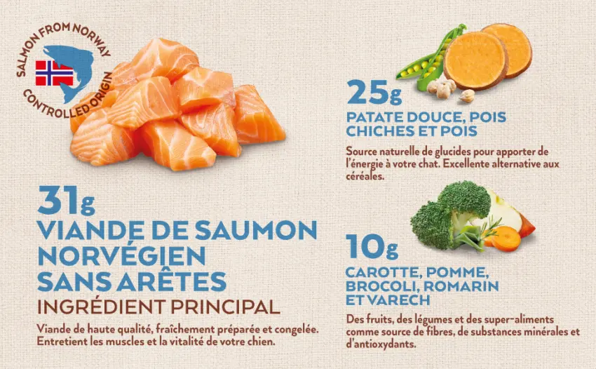 Nature's Variety - True Instinct Raw Boost - with Fresh Salmon - 10kg - nature