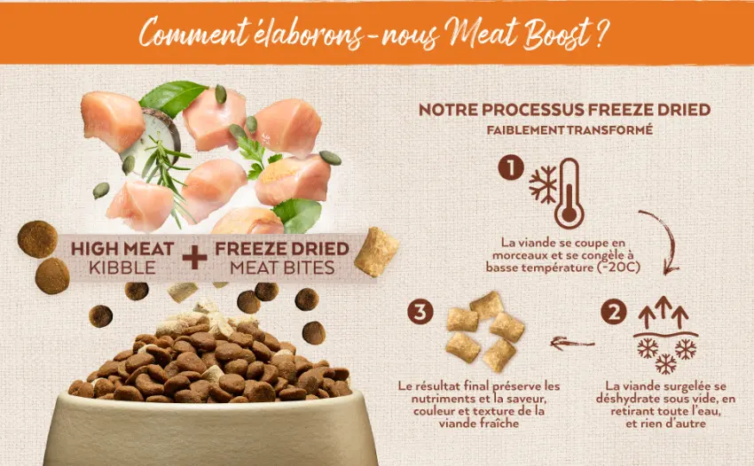 Nature's Variety - True Instinct Raw Boost - with Fresh Salmon - 10kg - nature