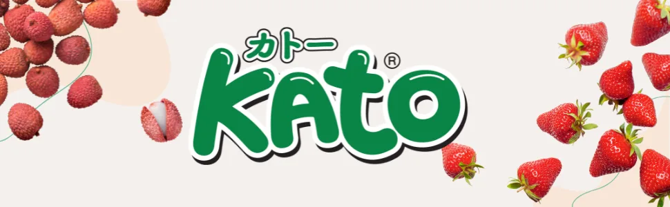 KATO - Jus de Noix de Coco avec Nata de Coco - 24 x 320 ml - Multipack - Kato Fruit Juice with Nata de Coco