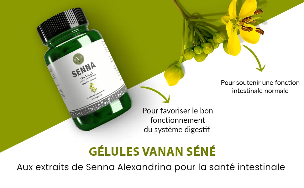 Vanan Senna Supplements (60 Capsules) | 140mg | 100% Pure Senna Extract | Natural Solution Against Constipation and Promotes Digestion | - product information 2