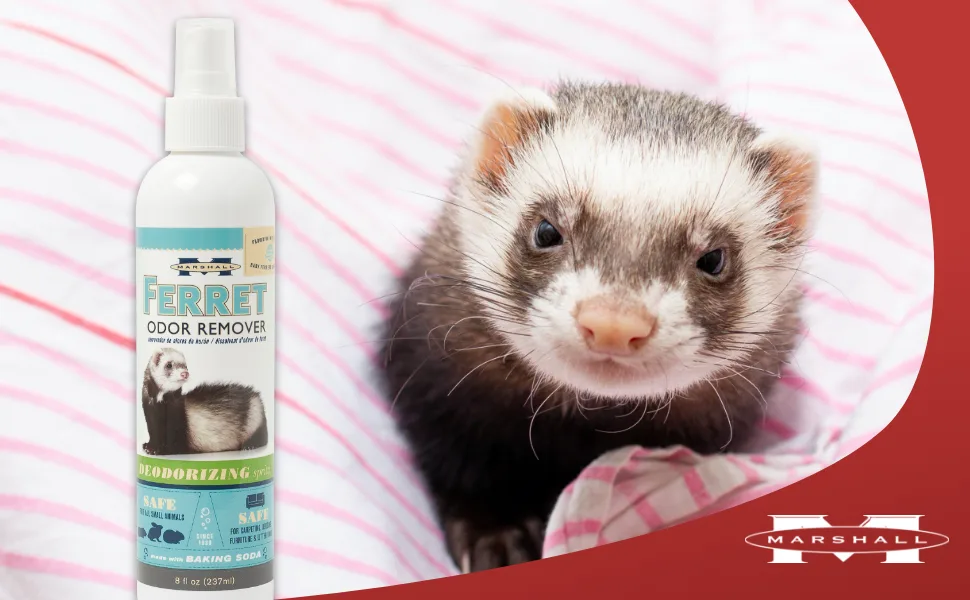 Marshall Pet Products Premium Natural Enzymatic Odor Remover and Deodorizer Spray for Severe Odors, for Small Animals and Ferrets, 8 oz - Odor Remover Deodorizing Spritz