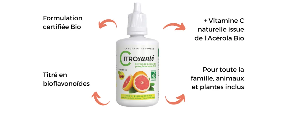 INOLAB Citrosant BIO - Certified Organic Grapefruit Seed Extract | 2 Packs of 50 ml or 100 ml - Extrait de pépins de pamplemousse
