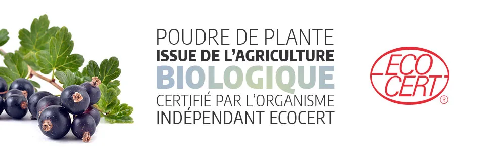 Organic blackcurrant leaf 200 capsules - image 3