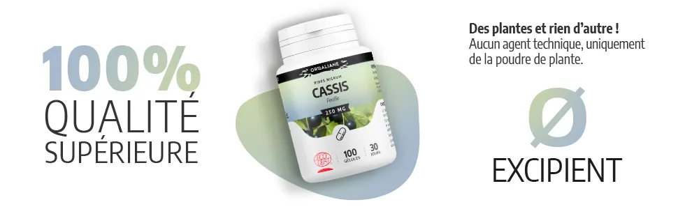 Organic blackcurrant leaf 200 capsules - image 4