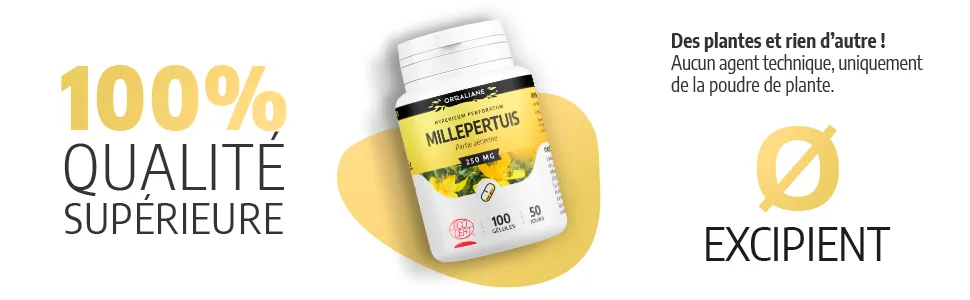 St. John's wort 250 mg - 200 capsules - Ecocert certified - Millepertuis image 4