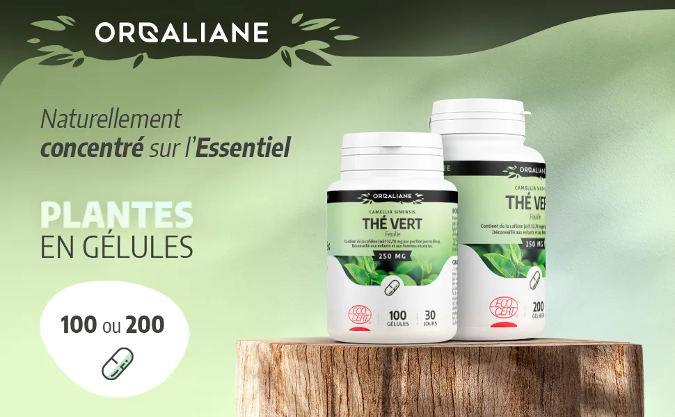 Organic Green Tea 250 mg - 100 Capsules - Ecocert Certified - Orgaliane - Thé vert image 1