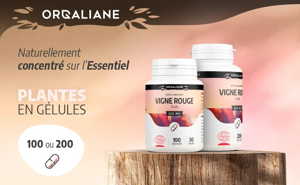 Organic Red Vine 250 mg - 100 Capsules - Ecocert Certified - Orgaliane - Vigne rouge image 1