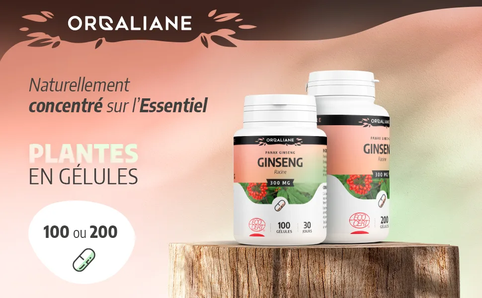Organic Ginseng 300 mg - 100 capsules - Ecocert certified - Orgaliane - Ginseng image 1